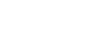 Index the world Icon