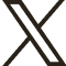 X Icon