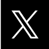 X Icon